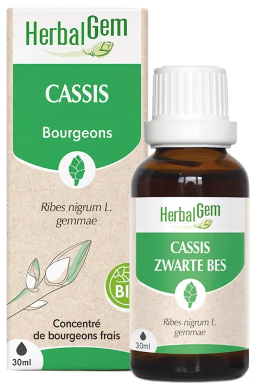 [NgRT011uyRT0013067] Cassis Bio 30ml HerbalGem