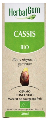 [NgRT011uyRT0013067] Cassis Bio 30ml HerbalGem