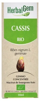 [NgRT011uyRT0013067] HerbalGem Cassis Bio 30 ml