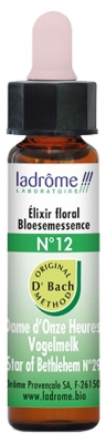 [844FgT00004vy88] Ladrôme Fleurs De Bach Elixir Floral N°12 : Dame d'Onze Heures Bio 10 ml