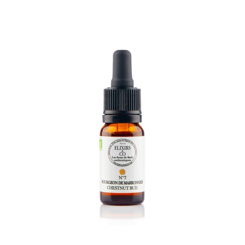 [NgRT011uyRT0002788] Bourgeon de Marronnier / Chestnut Bud N°07 Elixirs & Co
