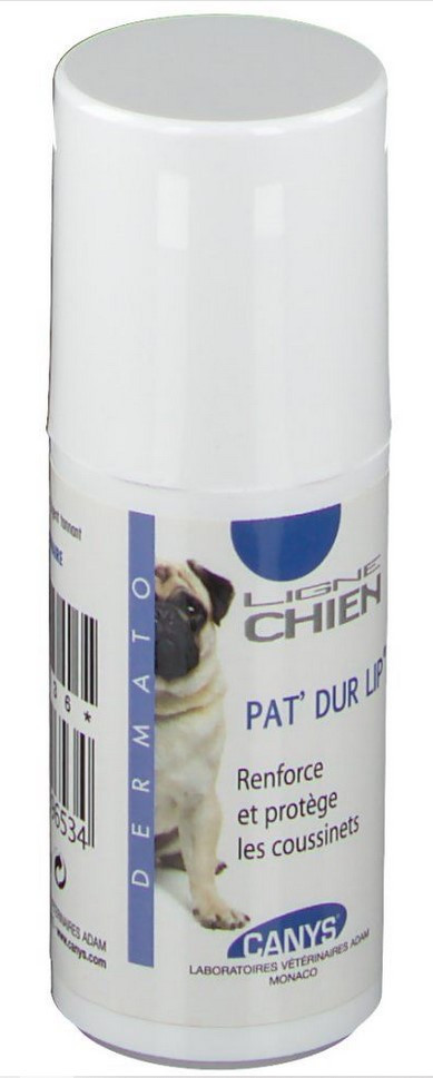 Pat'Dur 75ml Canys