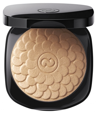 Galénic Teint Lumière Poudre de Soleil 9,5 g