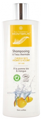 Montbrun Shampoing à l'Eau Thermale Cheveux Secs Bio 250 ml