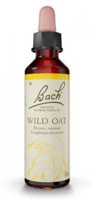 [844FgT00004w9fj] Wild oat 36 20ml Fleurs de bach Famadem