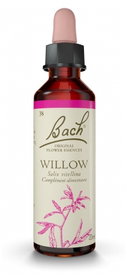 [844FgT00004w9fl] Willow 38 20ml Fleurs de Bach Famadem