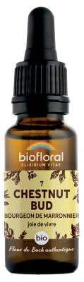 [844FgT00004wbzn] Biofloral Fleurs de Bach 07 Chestnut Bud Bio 20 ml