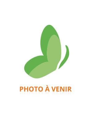 Pranarôm Huile Essentielle Lavande Vraie (Lavandula angustifolia) Bio 30 ml
