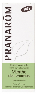 Pranarôm Huile Essentielle Menthe des Champs (Mentha arvensis) Bio 10 ml