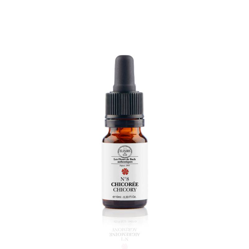 [NgRT011uyRT0005218] Chicorée / Chicory N°08 Elixirs & Co