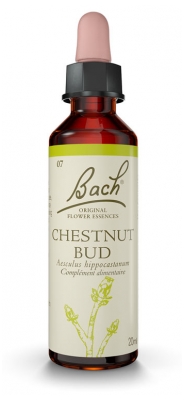 [844FgT00004wdda] Chestnut bud 07 20ml Fleurs de bach Famadem
