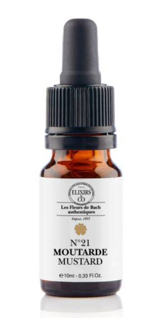 Moutarde / Mustard N°21 Elixirs & Co