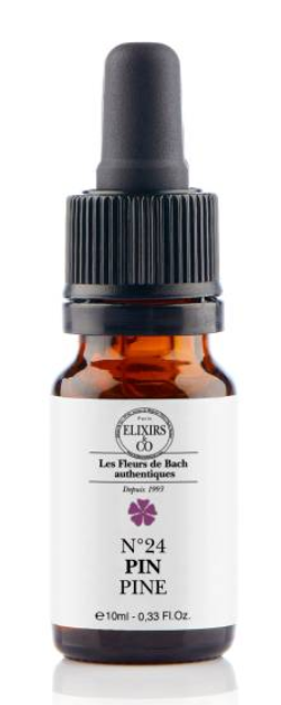Pin / Pine N°24 Elixirs & Co