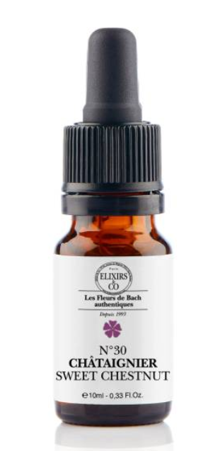 [NgRT011uyRT0009344] Châtaignier / Sweet Chestnut N°30 Elixirs & Co