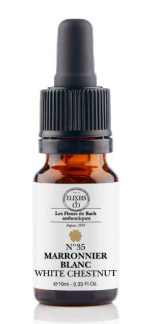 Elixir De Bach N°35 Marronnier Blanc Elixirs & Co
