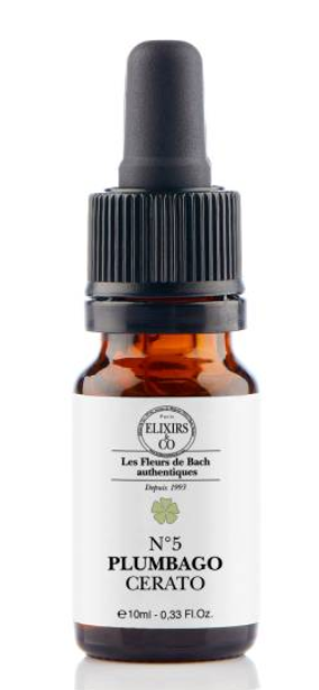 [NgRT011uyRT0009353] Plumbago / Cerato - N°05 Elixirs & Co