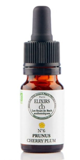 [NgRT011uyRT0009354] Prunus / Cherry Plum - N°06 Elixirs & Co