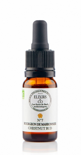 Elixir De Bach N°7 Bourgeon De Marronnier Elixirs & Co