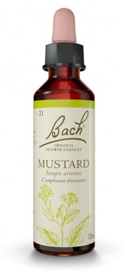 [844FgT00004vua1] Famadem Fleurs de bach 21 mustard 20ml