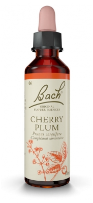 [844FgT00004vufe] Fleurs de Bach Original Prunus 20 ml