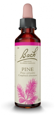 [844FgT00004vufs] Fleurs de bach 24 pine 20ml Famadem