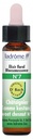 Ladrôme Fleurs De Bach Elixir Floral N°7 : Chataignier Bio 10 ml
