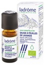 Ladrôme Huile Essentielle Sauge à Feuilles de Lavande (Salvia officinalis subsp.lavandulifolia) Bio 10 ml