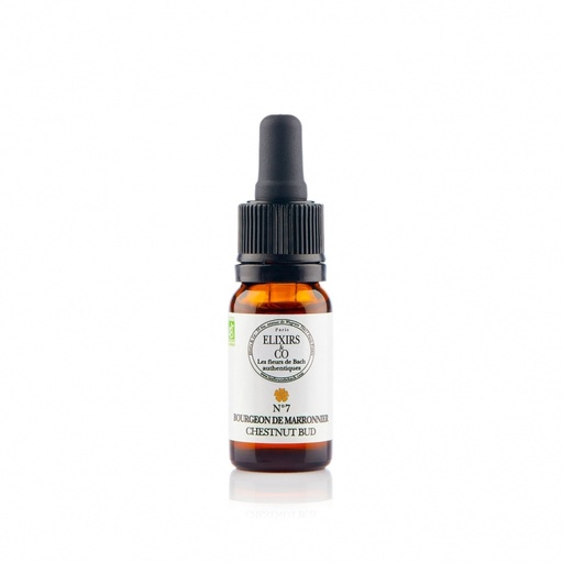 Bourgeon de Marronnier / Chestnut Bud N°07 Elixirs & Co