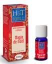 Synergie à Diffuser Magie de Noël Herbes & Traditions