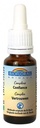 Biofloral Fleurs de Bach Animaux Complexe Confiance Bio 20 ml