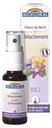 Biofloral Fleurs de Bach Complexe Dépendances C1 Bio 20 ml