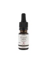 Elixir De Bach N°15 Houx Elixirs & Co