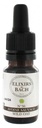 Elixir De Bach N°36 Avoine Sauvage Elixirs & Co