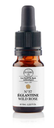 Elixir De Bach N°37 Églantine Elixirs & Co