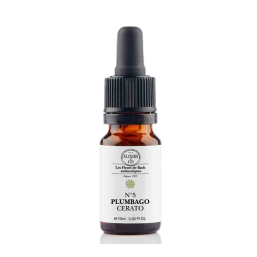 Plumbago / Cerato - N°05 Elixirs & Co