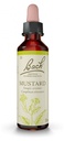 Famadem Fleurs de bach 21 mustard 20ml