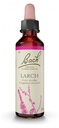 Fleurs de bach 19 larch 20ml Famadem