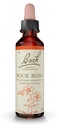 Fleurs de bach 26 rock rose 20ml Famadem