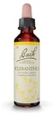 Fleurs de bach 28 sclerathus 20ml Famadem